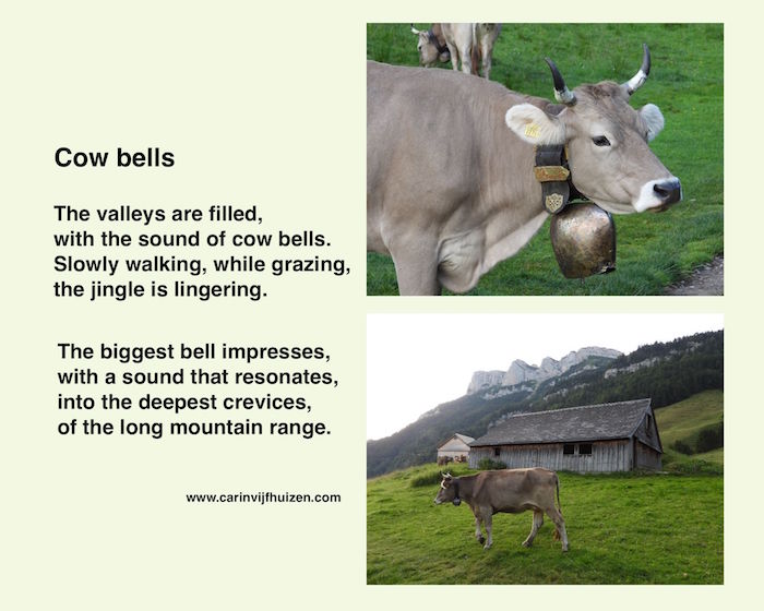 COW BELLS